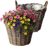 van der Leeden VD Leeden Plantenmand Klassiek - 2 stuks - rond - bruin - 25 x 19 cm - rotan
