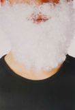 Faram baard - blanc - gnome/nain/grand-père - boucles - avec élastique - carnaval