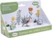 Papo Wild Life Insecten Box 3 80010