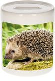 Bellatio Decorations Shoppartners Bv Dieren egel foto spaarpot 9 cm jongens en meisjes - Cadeau spaarpotten egel egels liefhebber