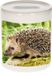 Bellatio Decorations Shoppartners Bv Dieren egel foto spaarpot 9 cm jongens en meisjes - Cadeau spaarpotten egel egels liefhebber