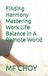 Finding Bol Finding Harmony Mastering Work Life Balance In A Remote World Paperback