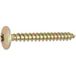 Ultima Visser Fixer Coller - Vis De Penture Torx Acier Bichromaté 6x60 Boîte De 100