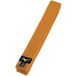 Mizuno Ceinture de judo RB