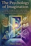 The Libri GmbH The Architecture of Experience-The Psychology of Imagination Paperback
