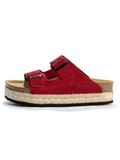 Bayton Muiltjes 'Alcee' rood