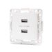 Elegant adapterstuk voor 2 USB-aansluitingen, Duits/Frans, ideaal voor thuis en op kantoor, wit, biedt functionaliteit en modern design, combinatie met stijl.