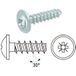 Vis PVC Inox A2 Poelier Phillips 4x8 sans pointe - 30 pièces