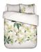 Essenza Hellea Housse de couette Coton satin Blanc - Lits-Jumeaux XL – 260x200/220 cm