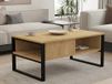 Hanah Home Moderne koffietafel met wandmontage, saffier oak, 100 x 60 x 44 cm, 100% melamine gecoat deeltjesbord, 18 mm dik, stijlvol en functioneel design met meerdere planken