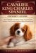 Cavalier King Charles Spaniel Owner's Guide