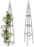 Merkloos / Sans marque Relaxdays 2x plantensteun piramide - 190 cm - klimplanten - tuin - groen