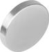 Intersteel Rozet blind afdekplaatje rond rvs basic