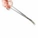 Aqua D'ella Ciseaux courbés 25CM Argent Inox