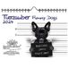 Tierzauber Funny Dogs wandkalender DIN A5 voor honden puppy's - 2024 Seelenzauber