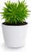 Prosperplast Plantenpot/bloempot Buckingham - buiten/binnen - design kunststof - ivoor wit - D29 x H26 cm