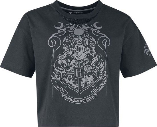 Harry Potter Dark Academia Nocturnal Stroll at Hogwarts Dames T-shirt - Zwart - L