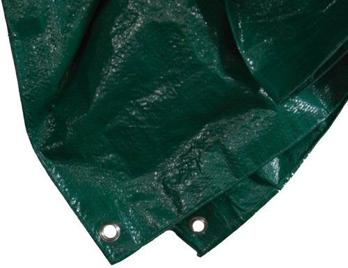 Siena Garden 671083 PE-beschermend zeil 5x 6m groen