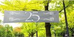 Folat 25 jaar jubileum straat vlag banner - zilver - 180 x 40 cm - polyester