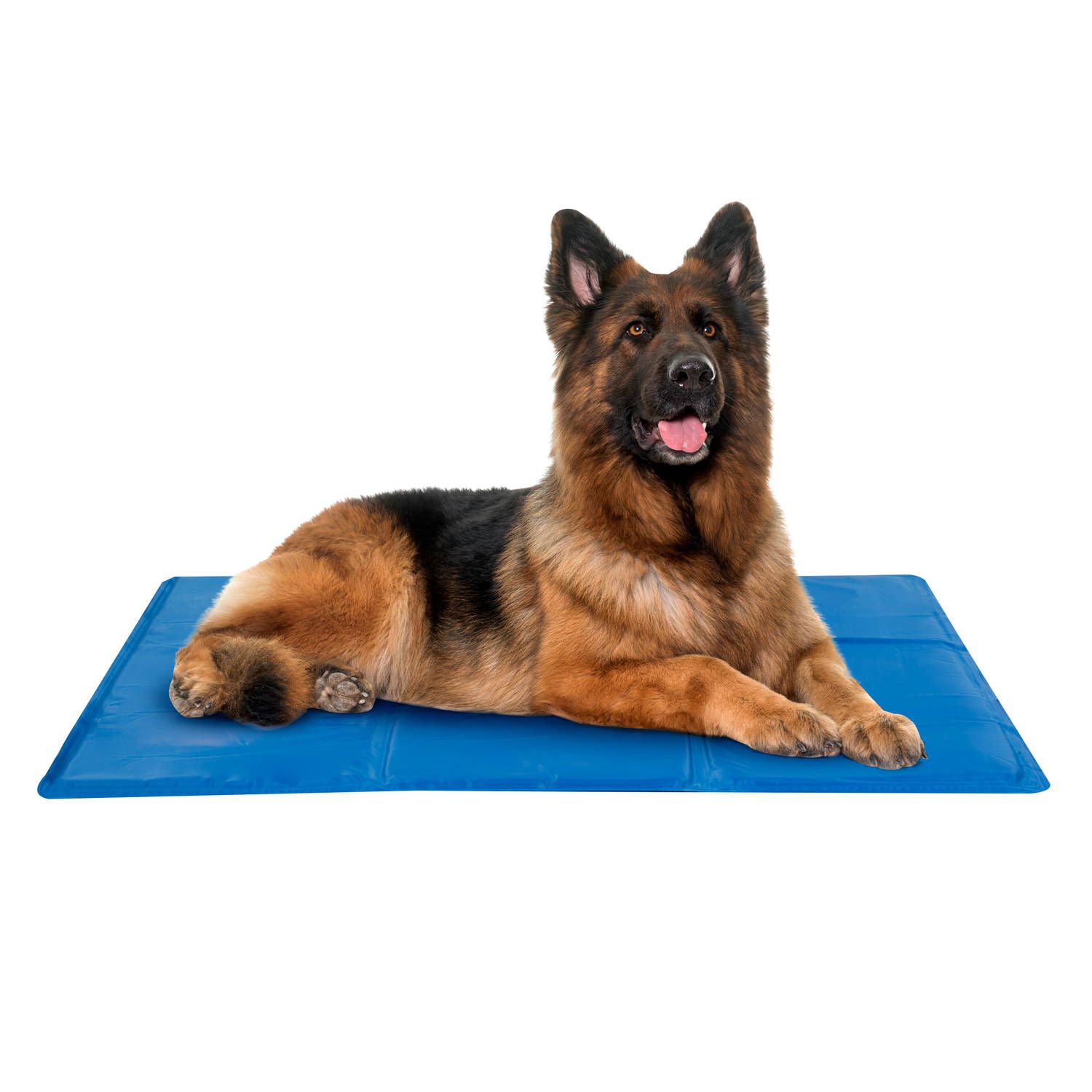 PETCOMFORT Koelmat voor de Hond - Maat XL - 60 x 80 cm - blauw