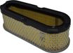 Briggs & Stratton Filtre à air pour moteur, type 493910, 691667, adapté aux moteurs de 10-15 ch