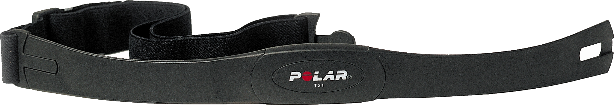 Polar T31