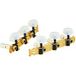 Ortega Guitars Classic stemmechanica set - goud/wit standaard (OTMSTD-GOWH)