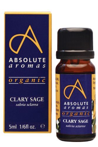 Absolute Aromas Etherische Olie / 5 ml / Unisex