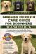 LABRADOR Bol Labrador Retriever Care Guide for Beginners