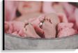 KuijsFotoprint Canvas - Baby Feet with Rings - 90x60cm Photo on Canvas Painting (Wall Decoration on Canvas)