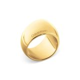 Calvin Klein Modern Purity-collectie damesring in roestvrij staal met geelgouden plating - 35000834E