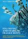 Fins, Libri GmbH Fins, Friends, and Stars of Fragile Reefs