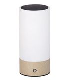 Dehner Levi Solarlamp, diameter 9 x hoogte 20 cm, led-buitenlamp op zonne-energie en batterij, USB-C-kabel incl., warmwit, schemeringssensor, roestvrij staal en glas
