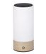 Dehner Levi Solarlamp, diameter 9 x hoogte 20 cm, led-buitenlamp op zonne-energie en batterij, USB-C-kabel incl., warmwit, schemeringssensor, roestvrij staal en glas
