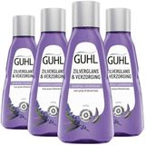 Guhl Zilverglans & Verzorging Shampoo Mini - 4 x 50 ml