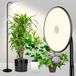 Ibenzoa® Lampe sur pied réglable avec col flexible et télécommande