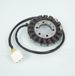 Electrosport Wisselstroomdynamo voor Honda 1000 CBF 2006-2012