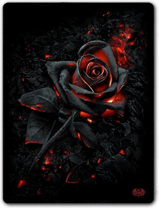 Spiral Burnt Rose Dekens zwart Polyester
