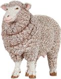 Papo Schaap | 51175