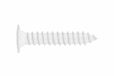 INDEX Fixing Systems CP A2 500 stuks schroeven schroefdraad met extra platte kop en kruiskop roestvrij A2, 4,2 x 32 mm