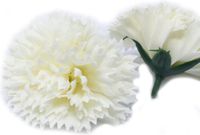 Ancient Wisdom Zeep Bloemen - Anjers - Room - 50 stuks - 7x5cm