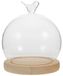 Omgoods – Jardinière en verre avec pied vitrine décoratif pour fleurs