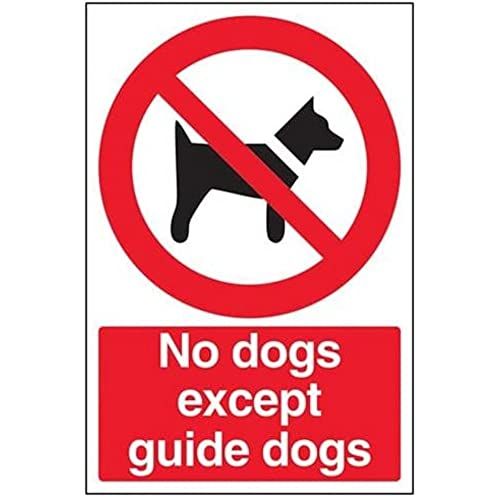 VSafety No Dogs Except Guide Dogs Prohibition Sign - 200mm x 300mm - Rigid Plastic