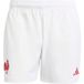 XV de France Short Replica Domicile 2024/25