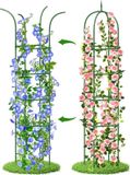 Merkloos / Sans marque Bol Tuin Obelisken Trellis voor klimplanten 18 m - Roestvrij - Voor buiten binnen groenten en bloemen (1 stuks)