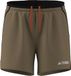 adidas Terrex Multi Light Shorts voor heren