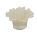 Olsson & Jensen Photophore Loa 14 cm Vanille