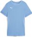 Puma Dames Teamgoal Matchday-shirt Wmns 705749