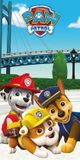 PAW Patrol Strandlaken - 70 x 140 cm - Multi