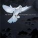 Universal Music Karl Jenkins The Armed Man - A Mass For Peace